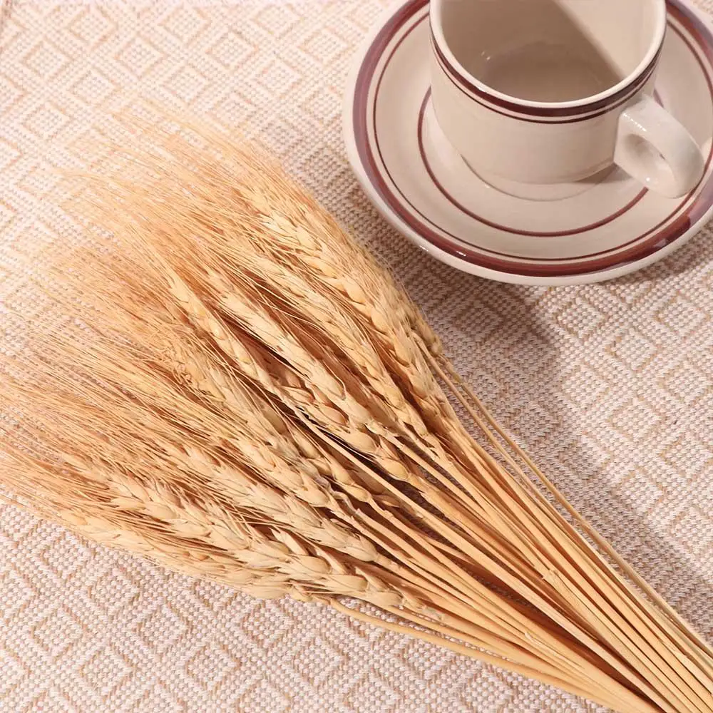 50pcs Artificial Flower Natura - Dried Flower Bulk ulasan dan harga