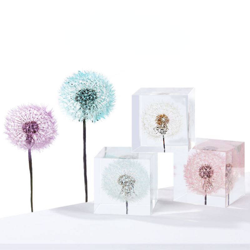 Dandelion preserved fresh flow - Flower Preservation Resin ulasan dan harga