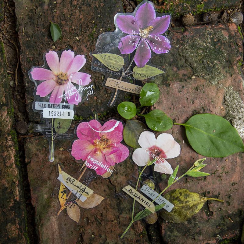 10 Pcs/Pack Corner Flower Hous - Dried Flower Bulk ulasan dan harga