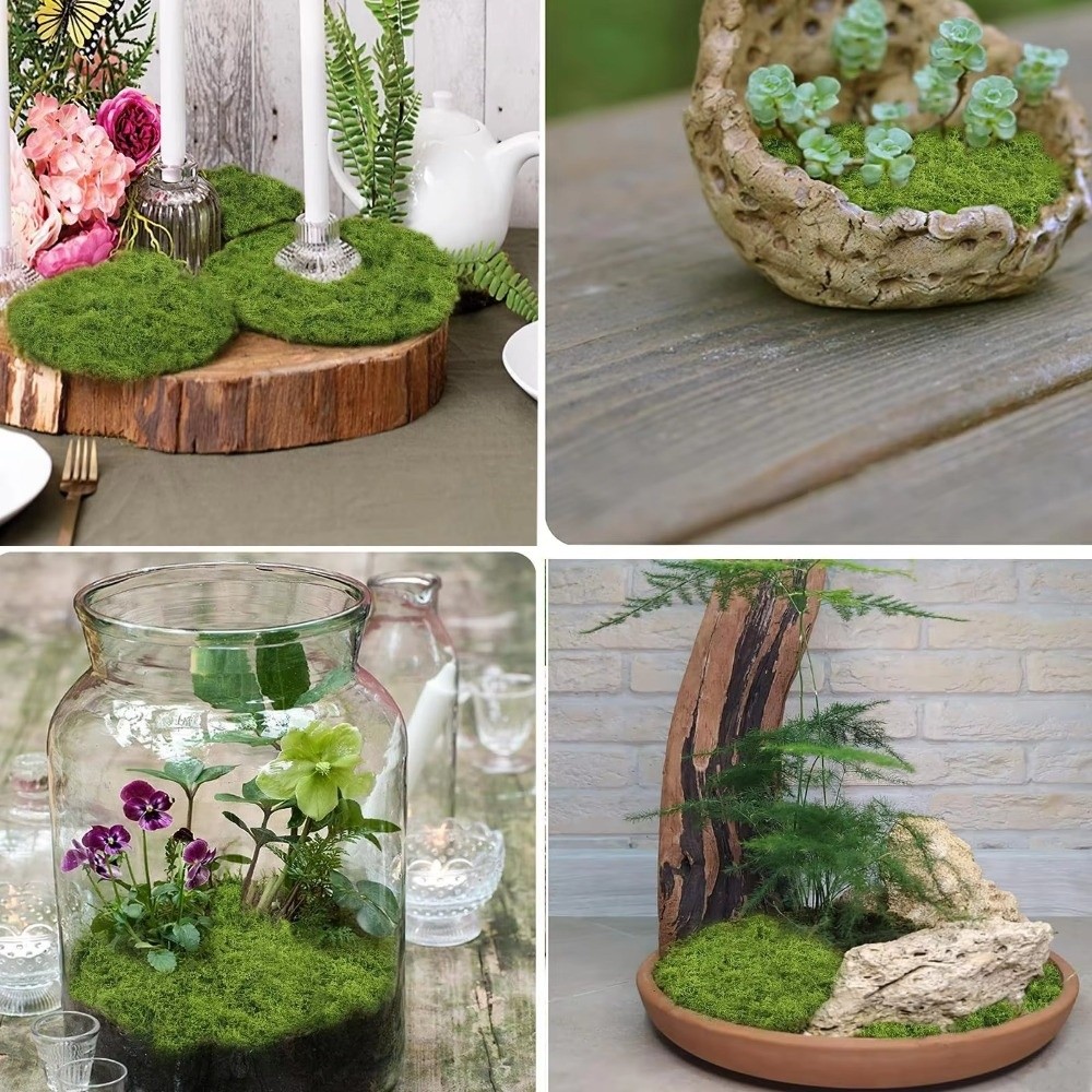 DIY Artificial Grass Rug Durab - Terrarium Moss Art ulasan dan harga