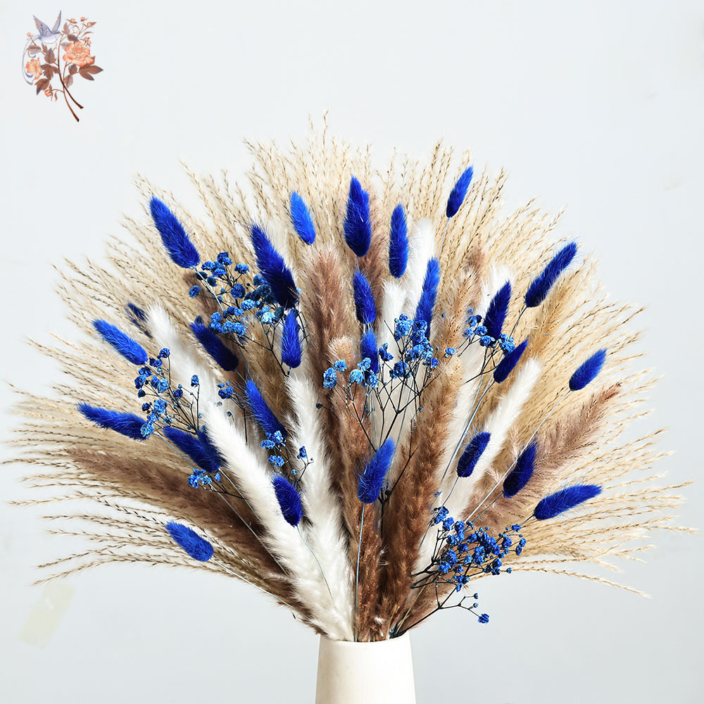 70 Stem Blue Fluffly Rabbit Ta - Dried Flower Bulk ulasan dan harga