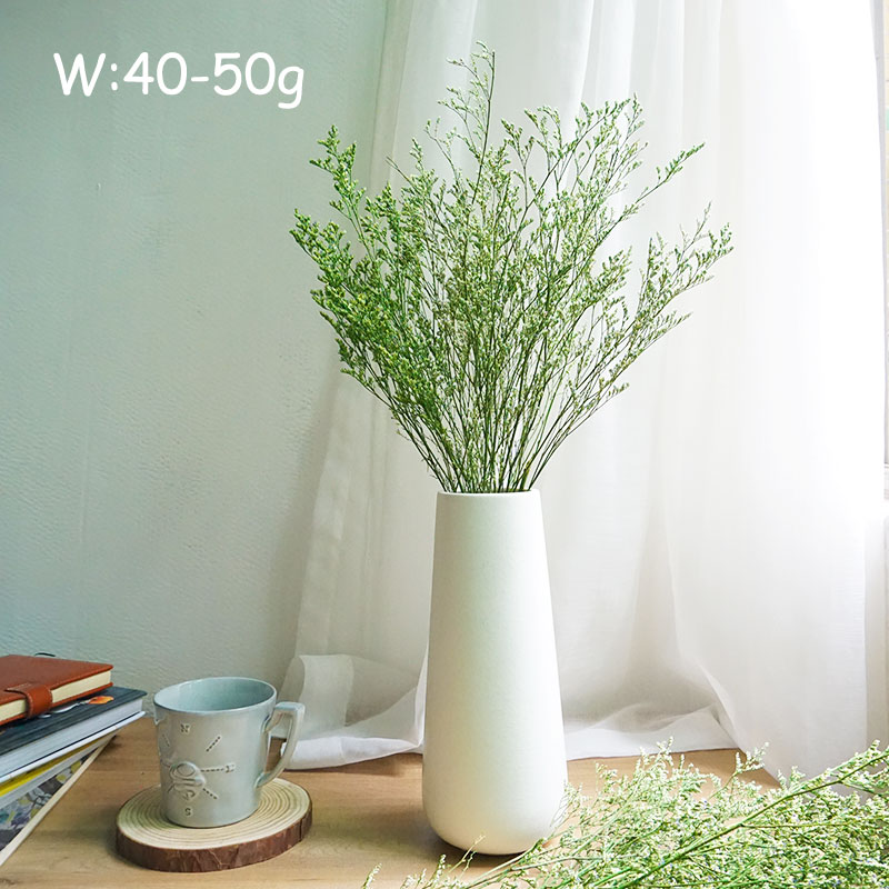 50g/Preserved Valentine's Gras - Dried Flower Bulk ulasan dan harga
