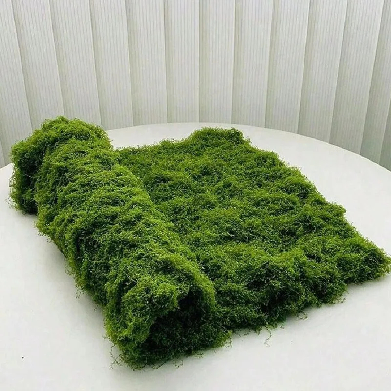 Artificial moss for micro-land - Terrarium Moss Art ulasan dan harga