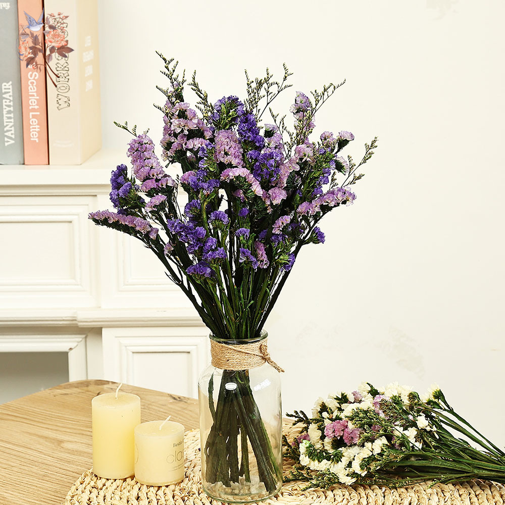 100g Natural Real Forget-me-no - Dried Flower Bulk ulasan dan harga