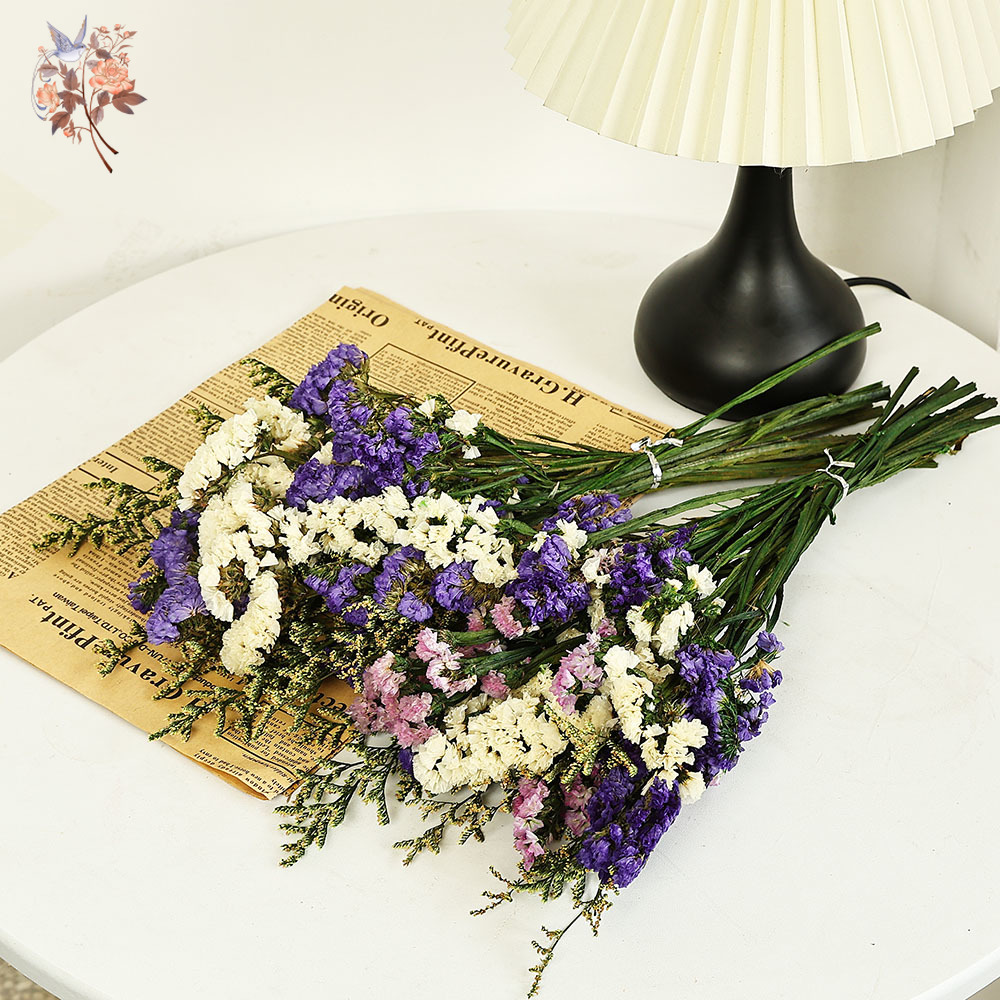 100g Natural Real Forget-me-no - Dried Flower Bulk ulasan dan harga